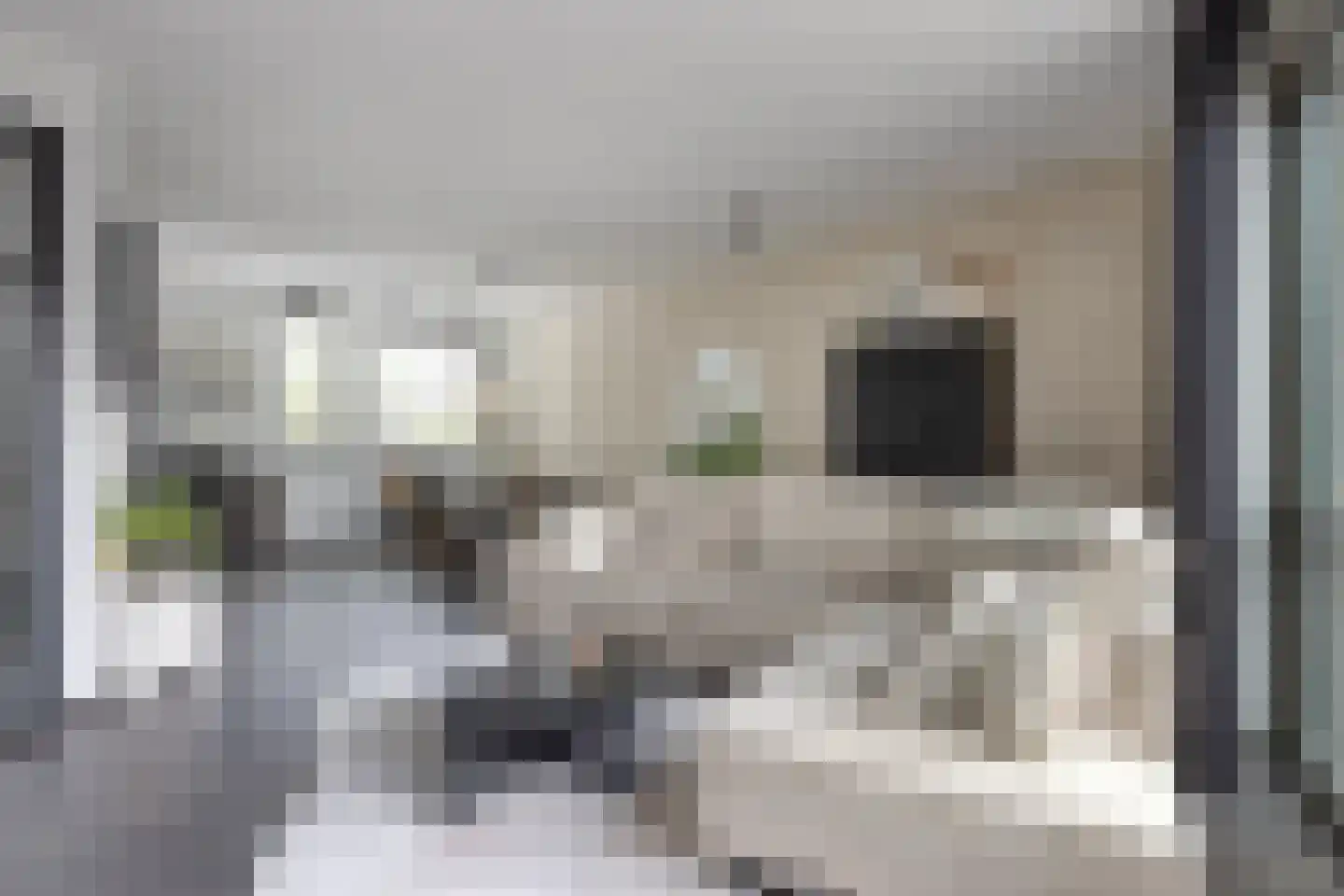 Muntmeester 298 Uden thumbnail 9