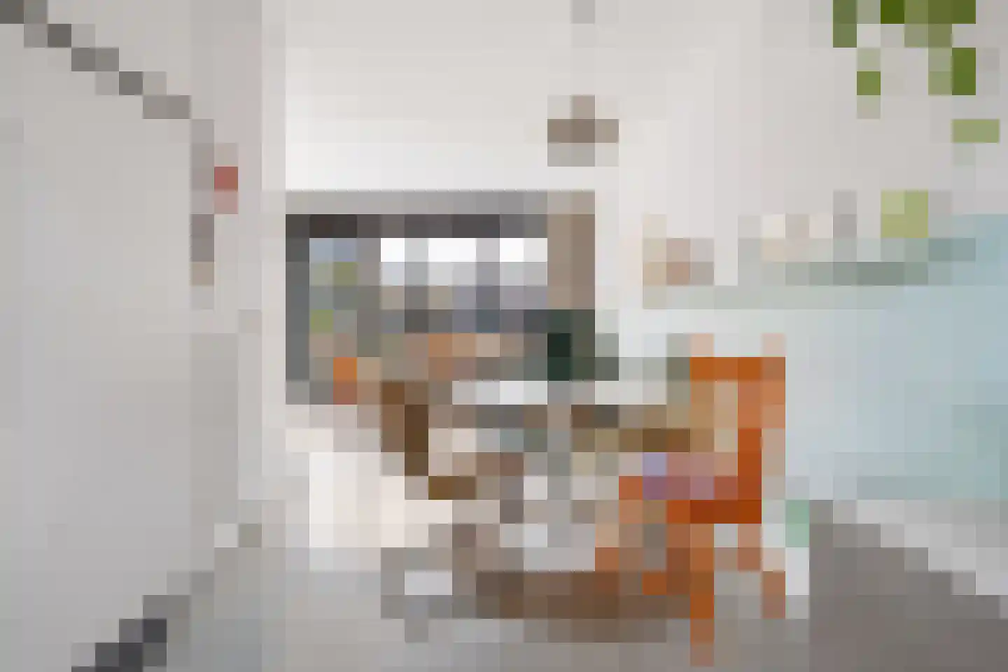 Muntmeester 308 Uden thumbnail 13
