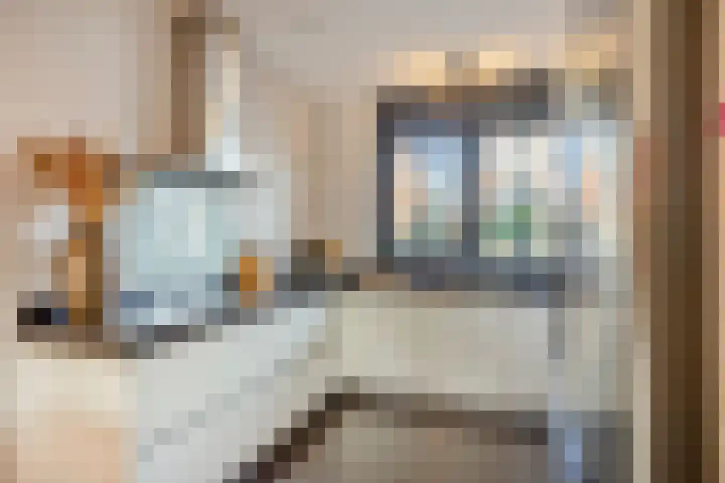 Muntmeester 324 Uden thumbnail 13