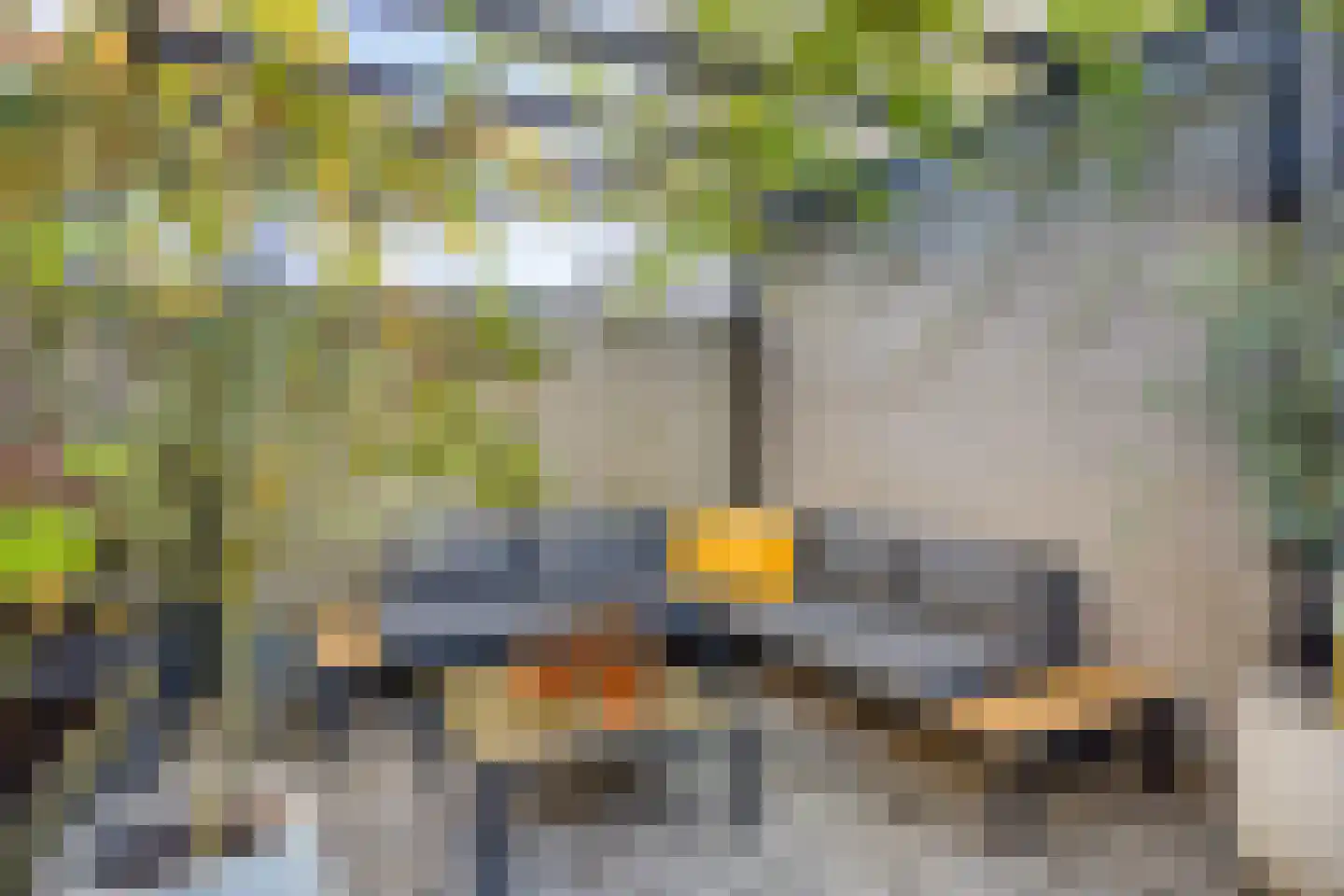 Muntmeester 324 Uden thumbnail 33