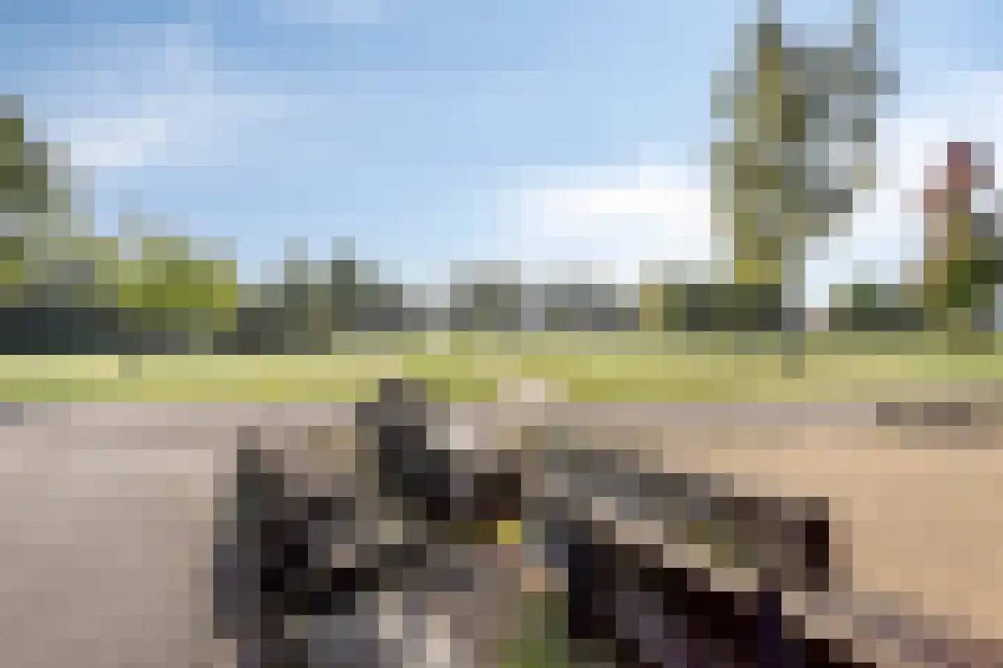 Muntmeester 324 Uden thumbnail 36