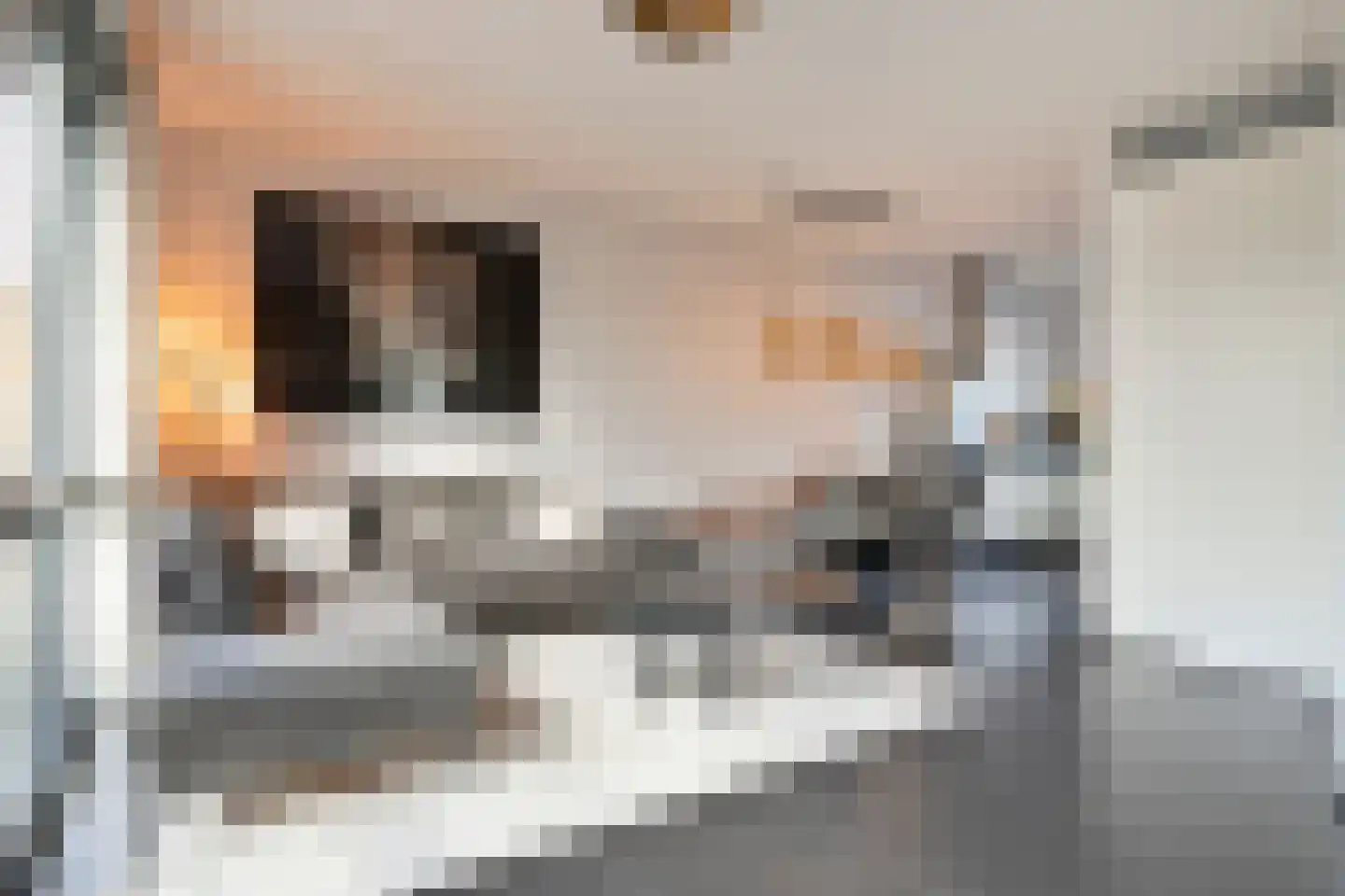 Muntmeester 324 Uden thumbnail 9