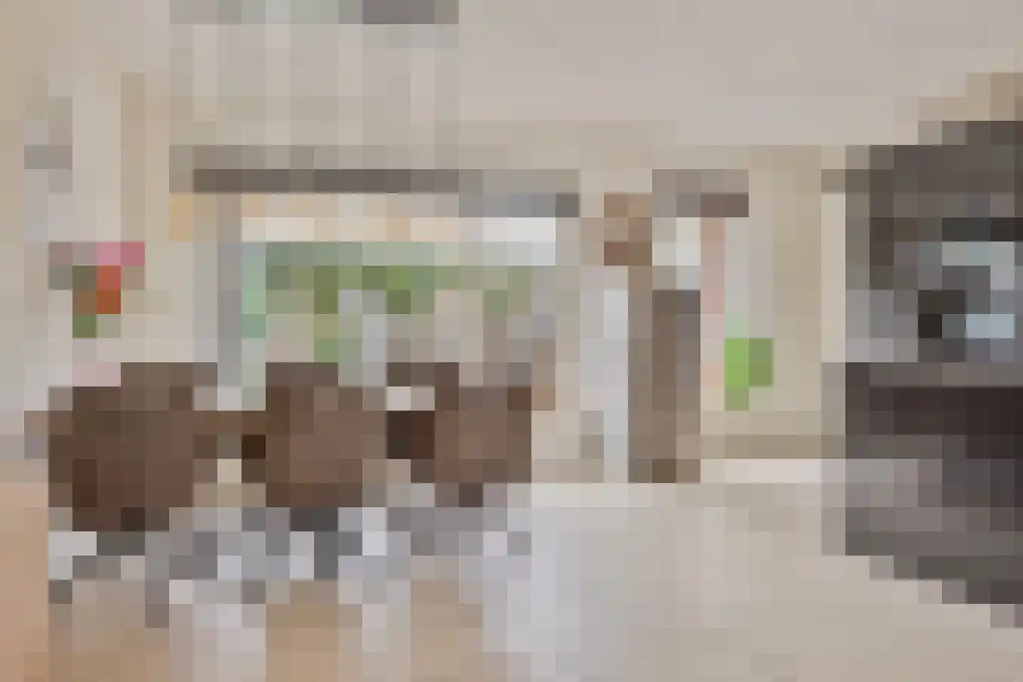 Muntmeester 462 Uden thumbnail 10