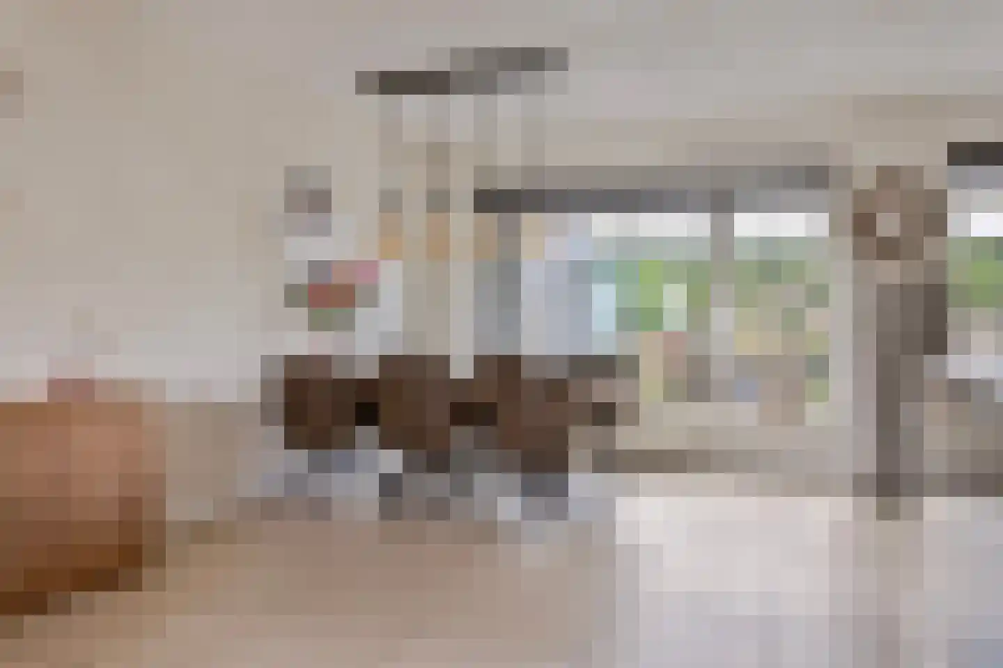 Muntmeester 462 Uden thumbnail 13