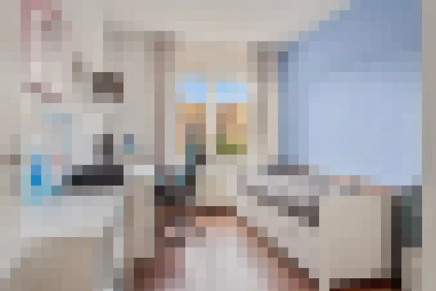 Muntmeester 462 Uden thumbnail 25