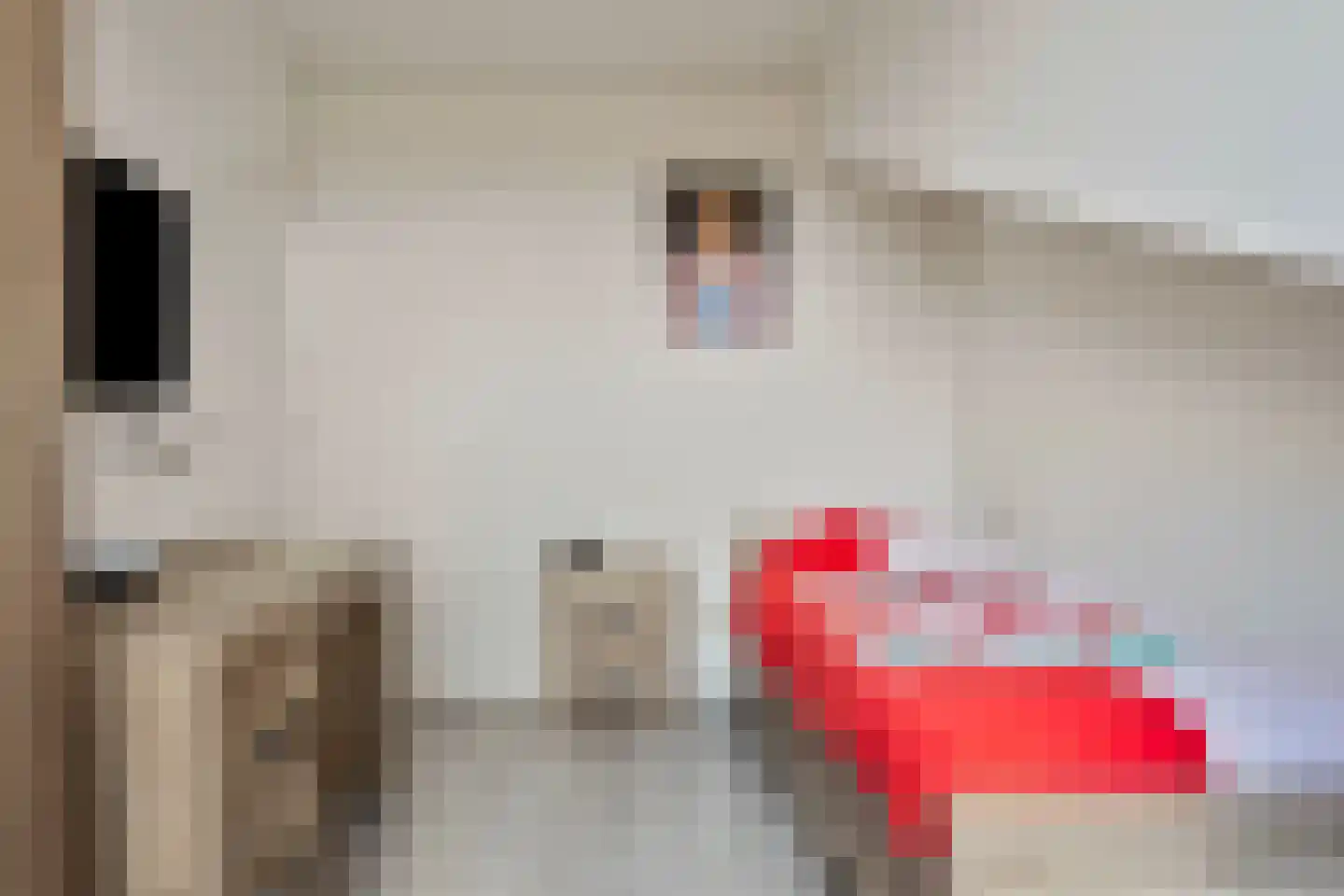 Muntmeester 462 Uden thumbnail 30