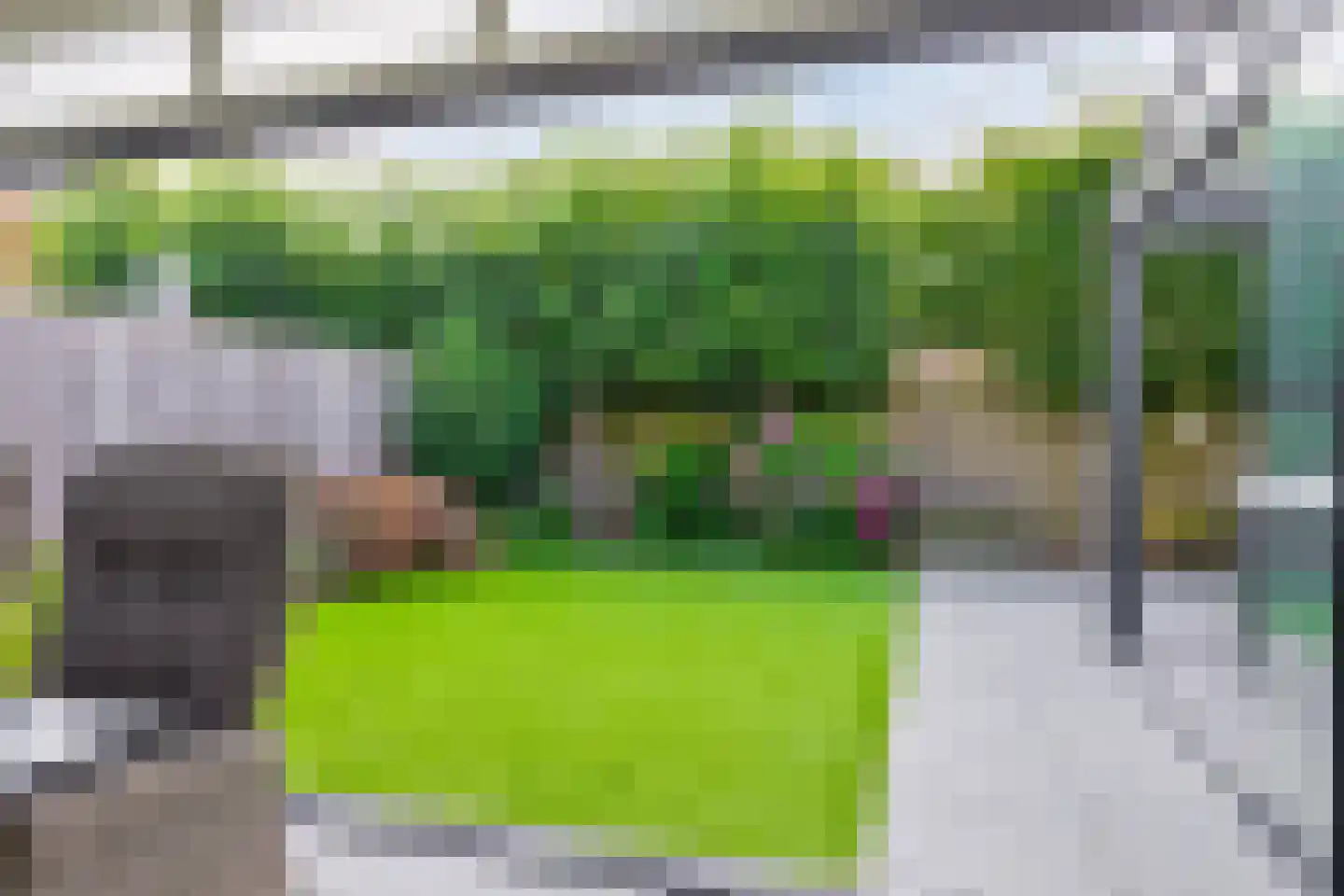 Muntmeester 462 Uden thumbnail 34