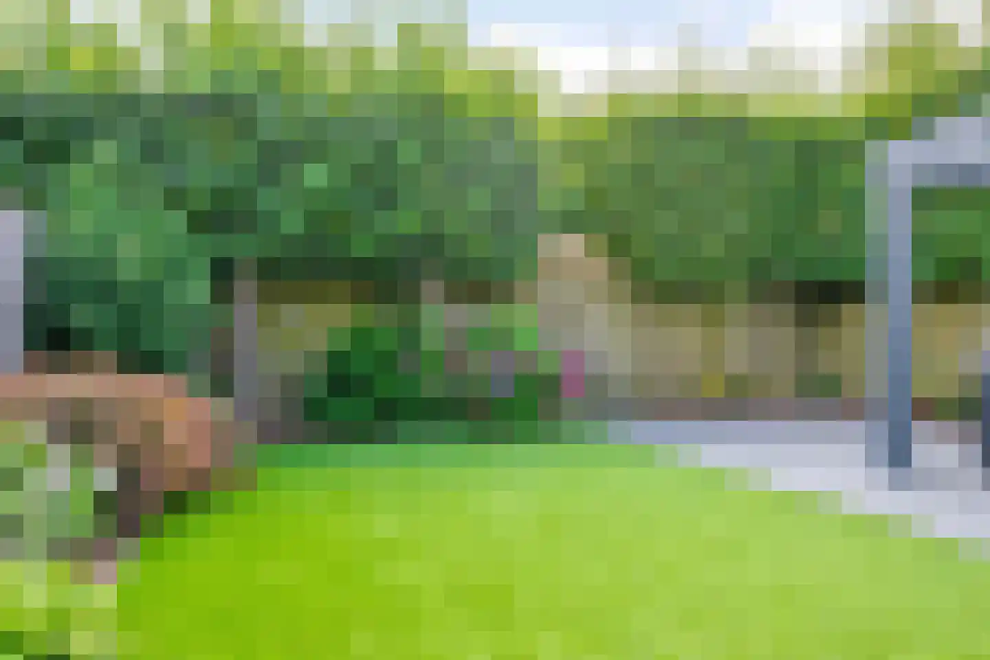 Muntmeester 462 Uden thumbnail 34