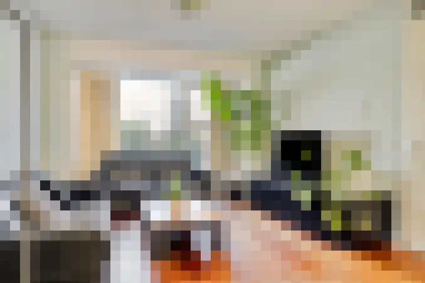Muntmeester 464 Uden thumbnail 10