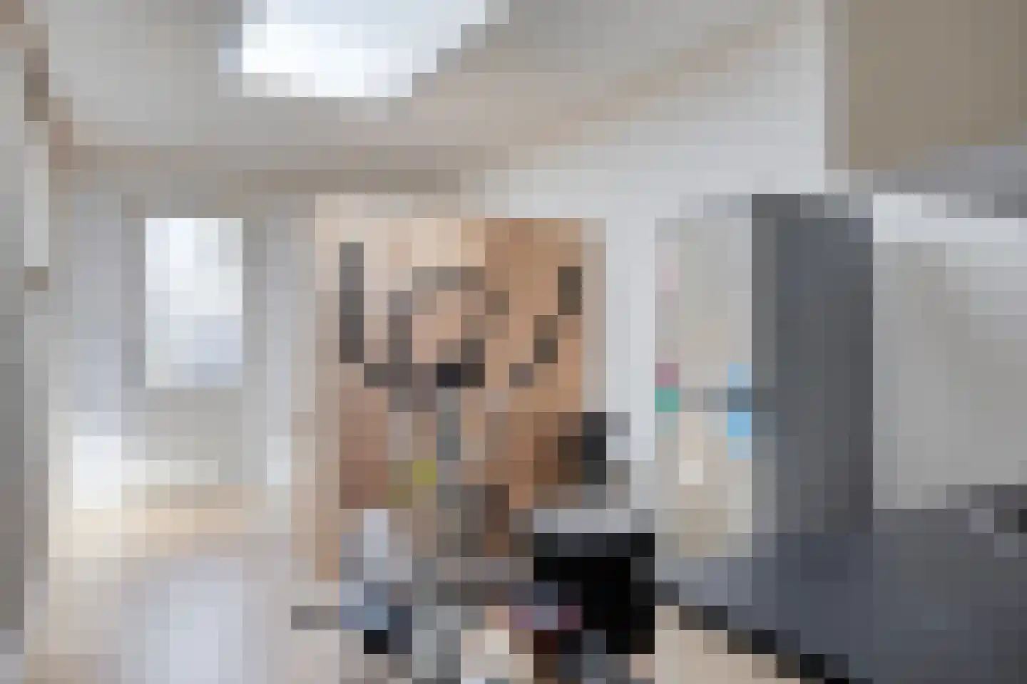 Muntmeester 464 Uden thumbnail 20