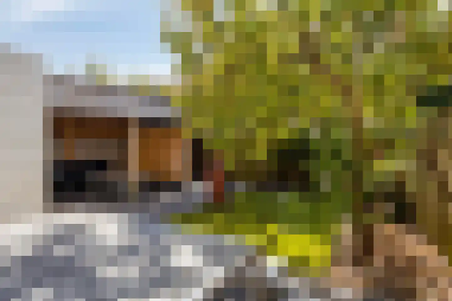 Muntmeester 464 Uden thumbnail 37