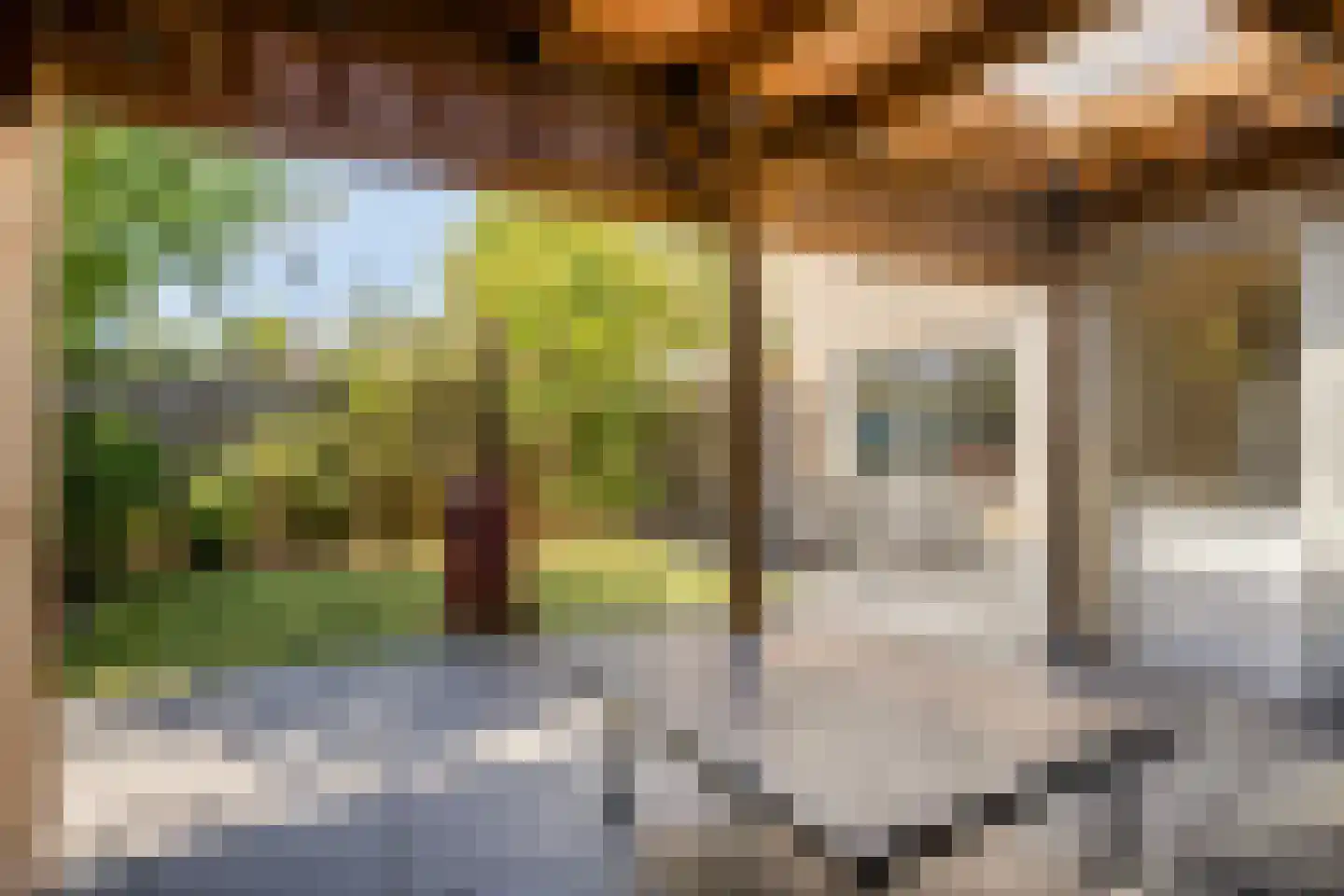 Muntmeester 464 Uden thumbnail 39