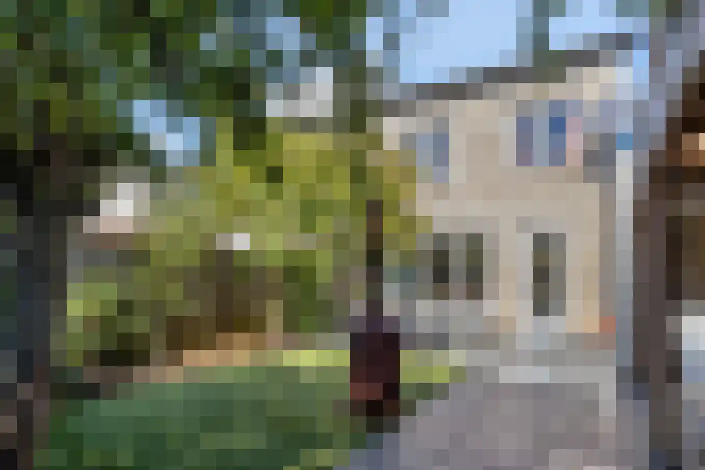 Muntmeester 464 Uden thumbnail 40
