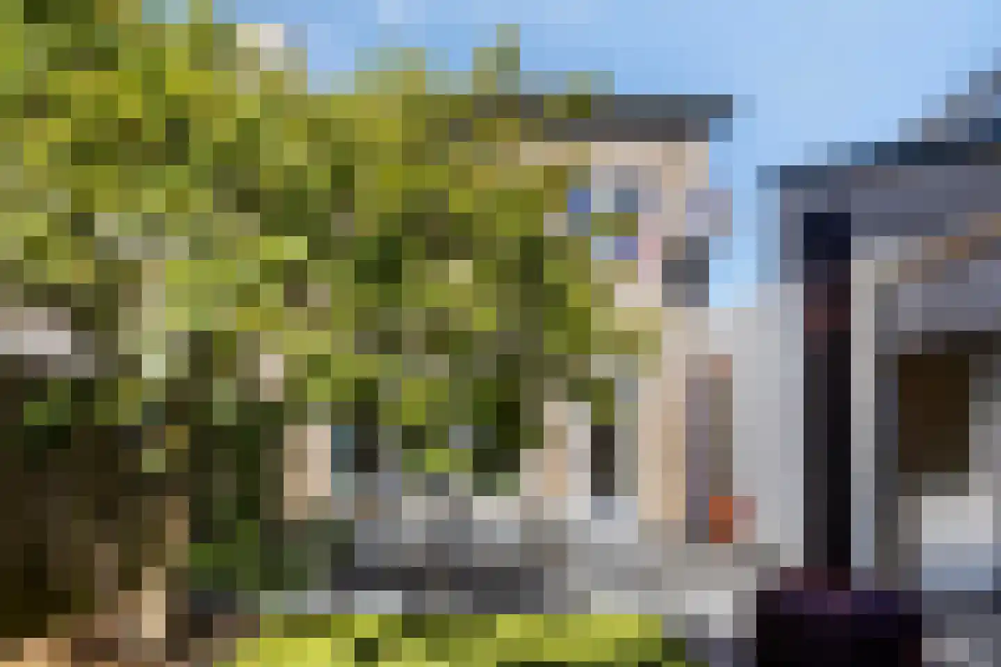 Muntmeester 464 Uden thumbnail 41