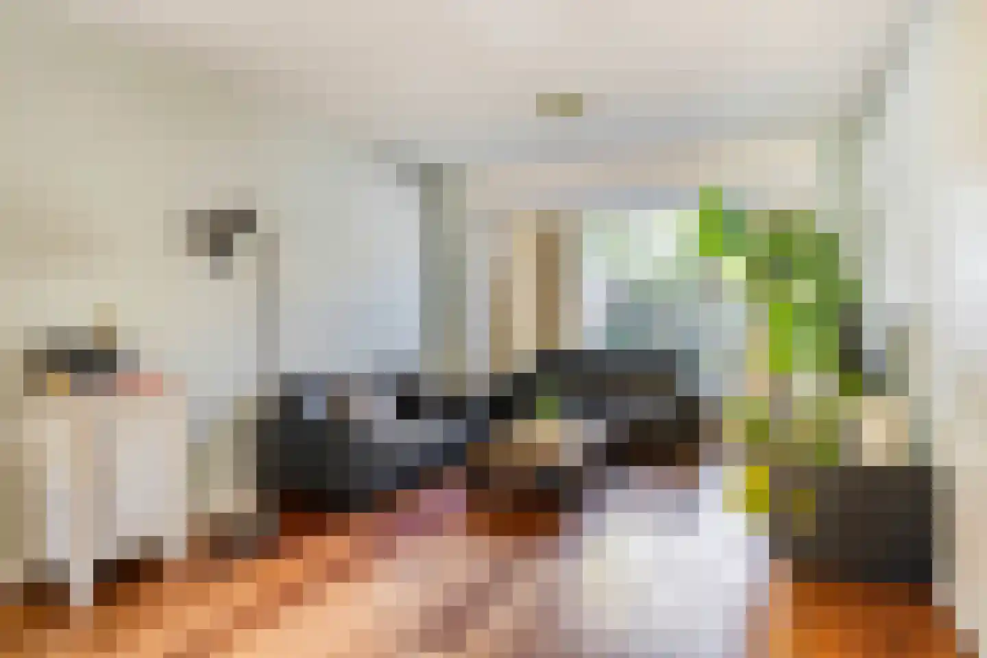 Muntmeester 464 Uden thumbnail 8