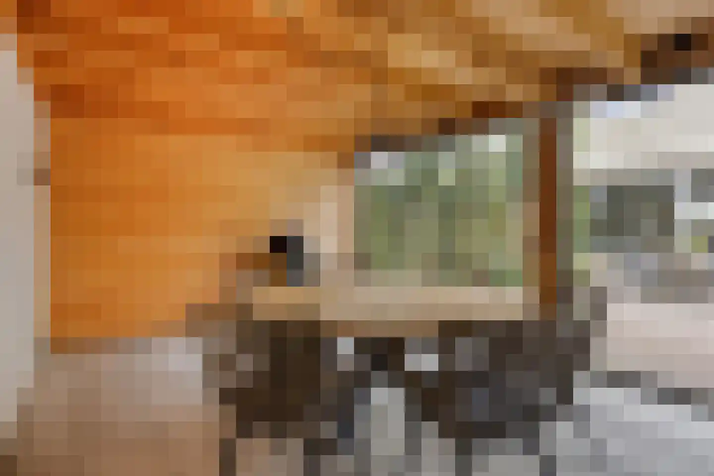 Muntmeester 468 Uden thumbnail 46