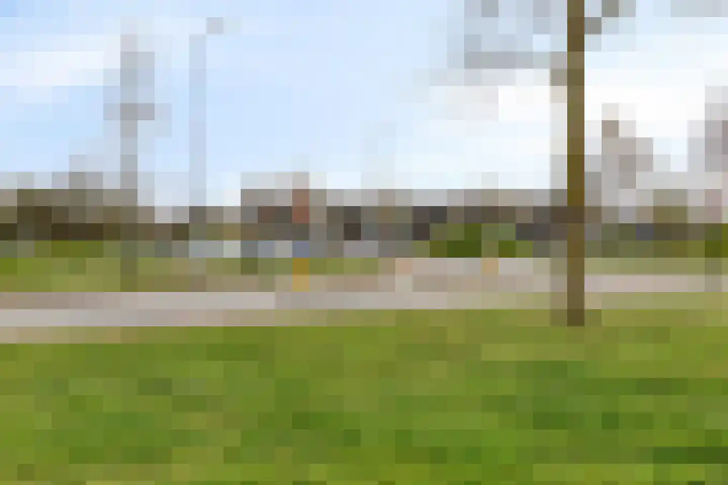 Muntmeester 468 Uden thumbnail 49