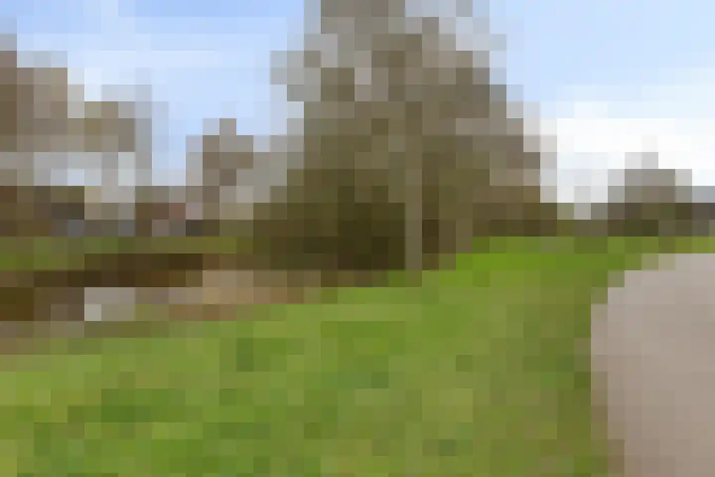 Muntmeester 468 Uden thumbnail 50
