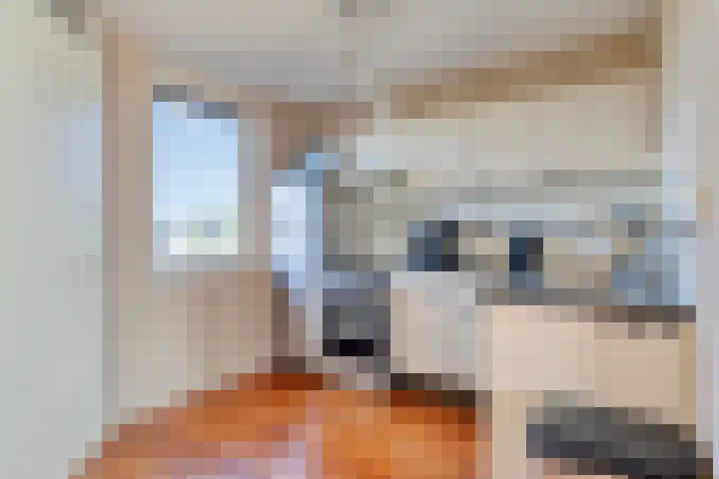 Muntmeester 79 Uden thumbnail 7