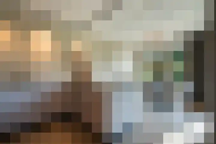 Muntmeesterhof 3 Weert thumbnail 22