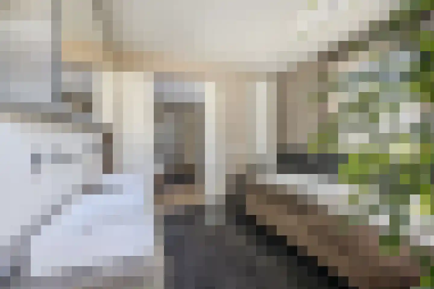 Muntmeesterhof 3 Weert thumbnail 29
