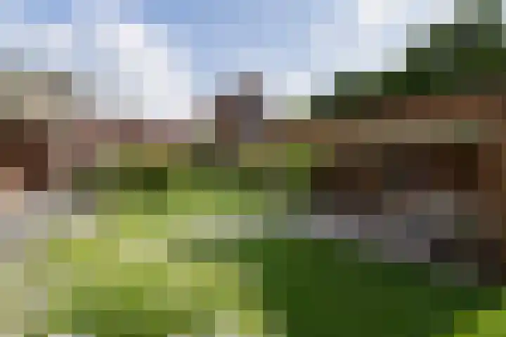 Muntmeesterhof 3 Weert thumbnail 50