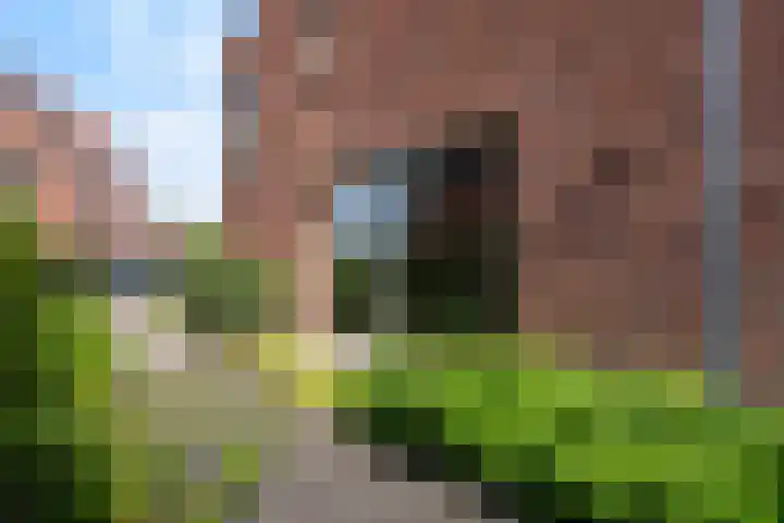 Muntmeesterhof 3 Weert thumbnail 58