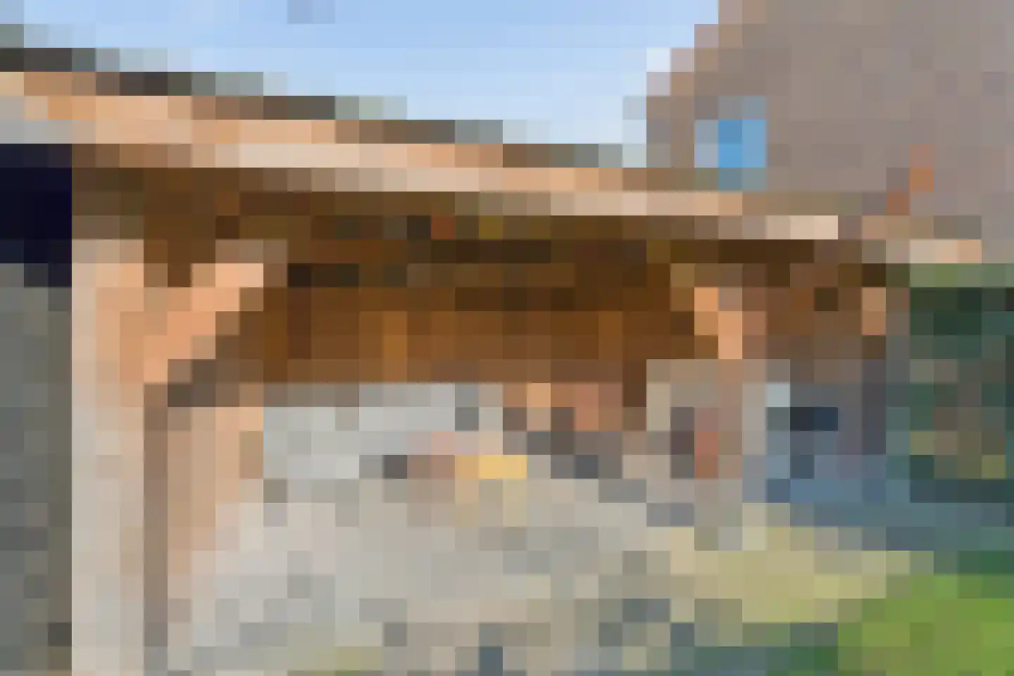 Muntmeesterlaan 28 Nijmegen thumbnail 33