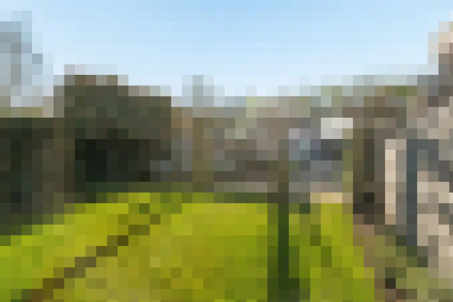 Muntmeesterlaan 28 Nijmegen thumbnail 36