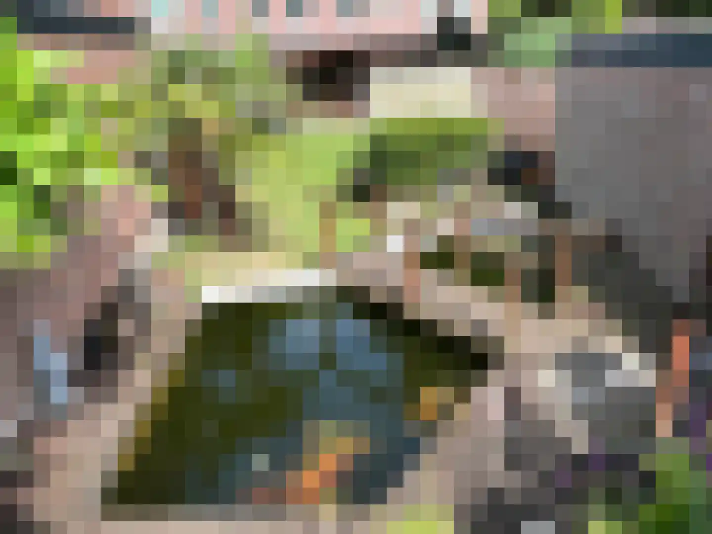 Muntmeesterlaan 32 Nijmegen thumbnail 31