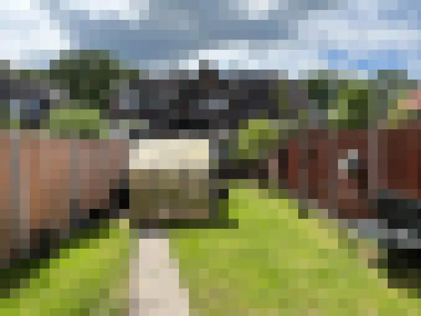 Muntmeesterlaan 32 Nijmegen thumbnail 34