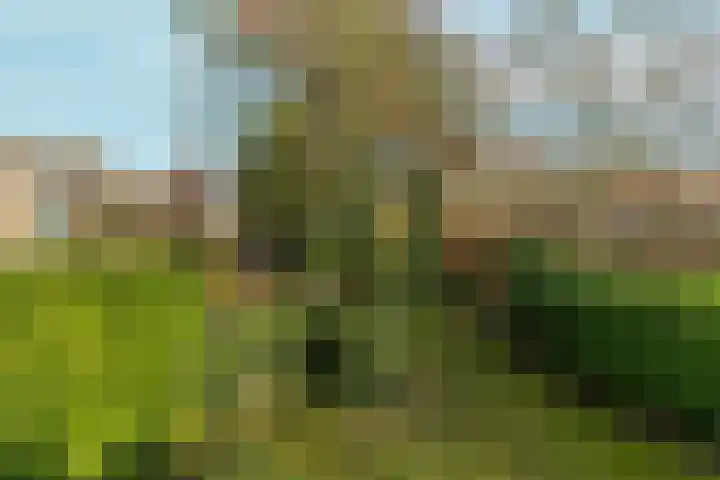 Muntmeesterlaan 36 Nijmegen thumbnail 34