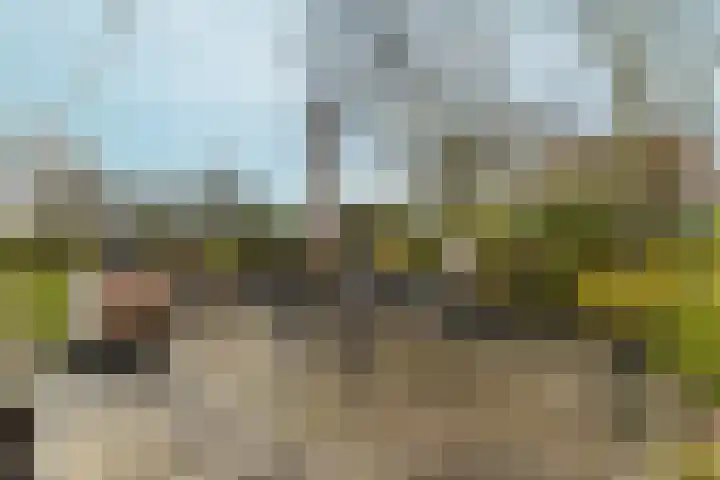 Muntmeesterlaan 36 Nijmegen thumbnail 35