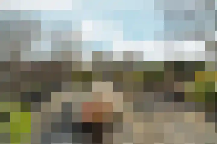 Muntmeesterlaan 36 Nijmegen thumbnail 36