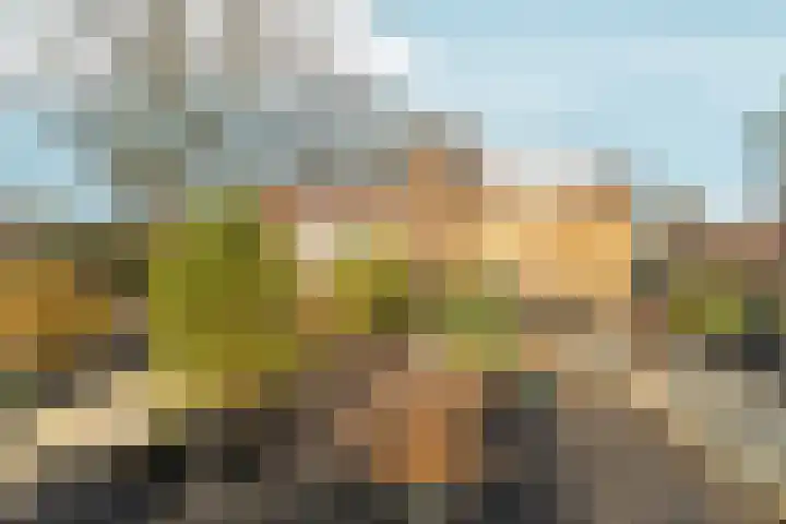 Muntmeesterlaan 36 Nijmegen thumbnail 37