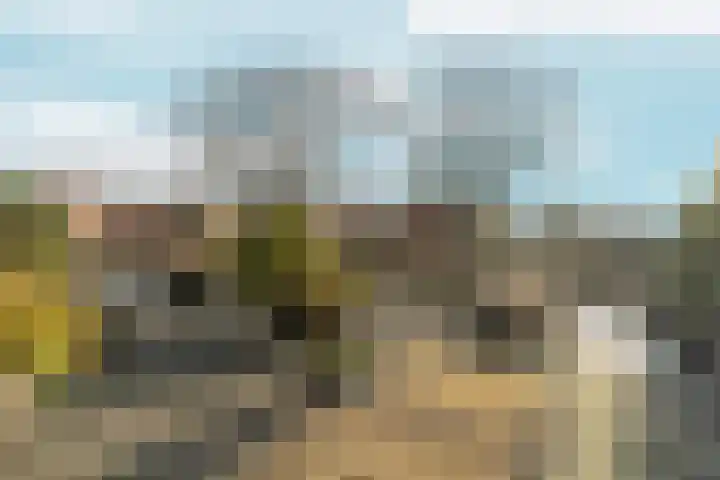 Muntmeesterlaan 36 Nijmegen thumbnail 39