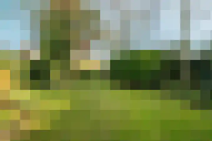Muntmeesterlaan 36 Nijmegen thumbnail 53