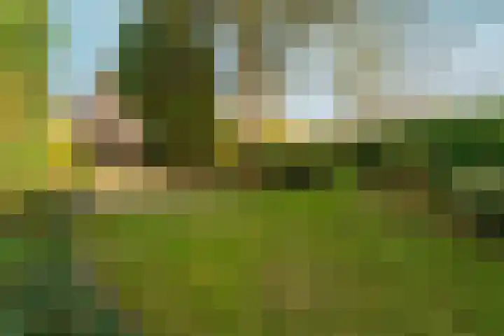 Muntmeesterlaan 36 Nijmegen thumbnail 54