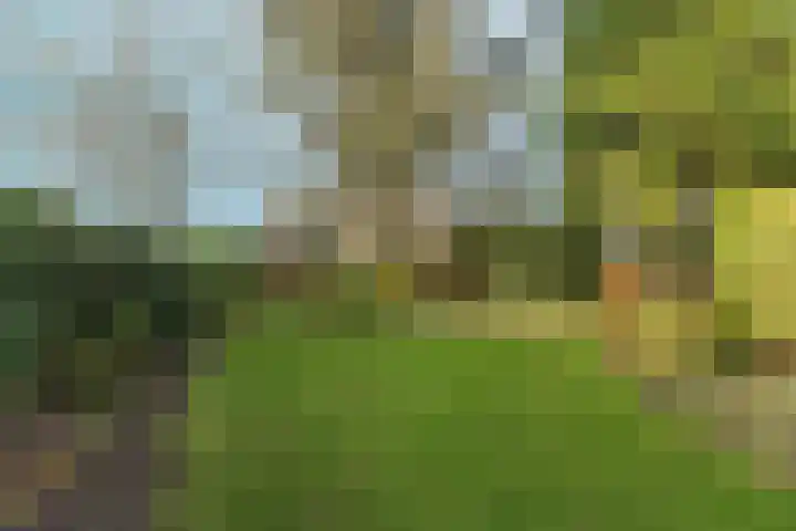 Muntmeesterlaan 36 Nijmegen thumbnail 56