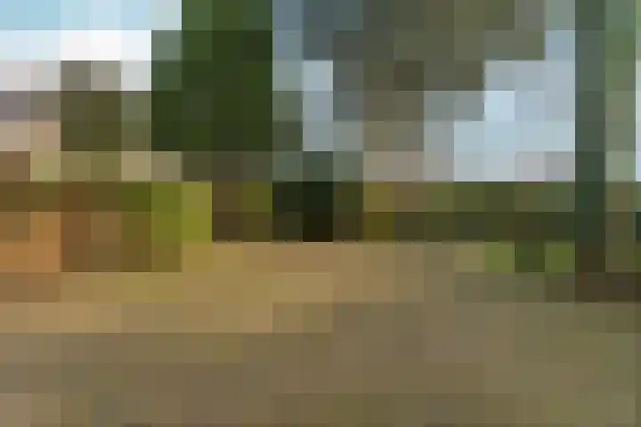 Muntmeesterlaan 36 Nijmegen thumbnail 58