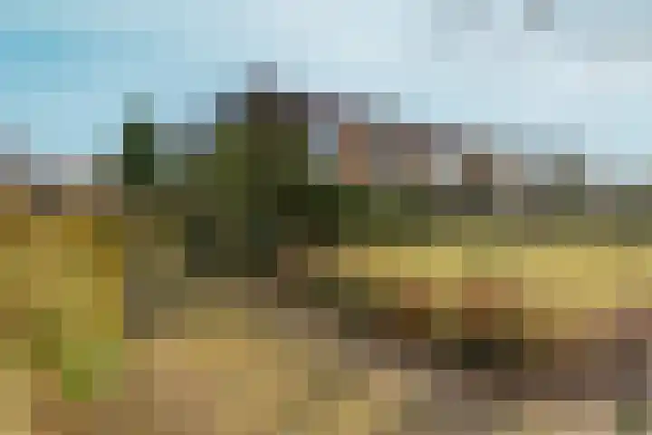 Muntmeesterlaan 36 Nijmegen thumbnail 60