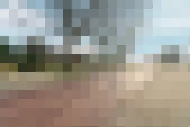 Muntmeesterlaan 36 Nijmegen thumbnail 64
