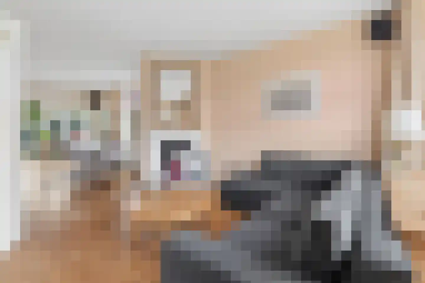 Muntmeesterlaan 64 Nijmegen thumbnail 13