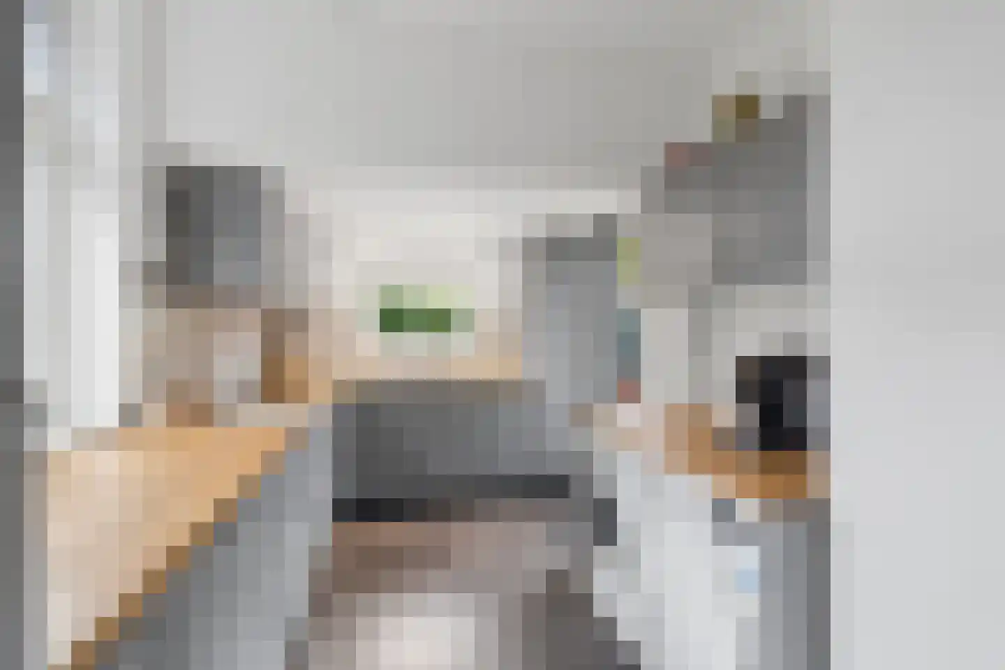 Muntmeesterlaan 64 Nijmegen thumbnail 19