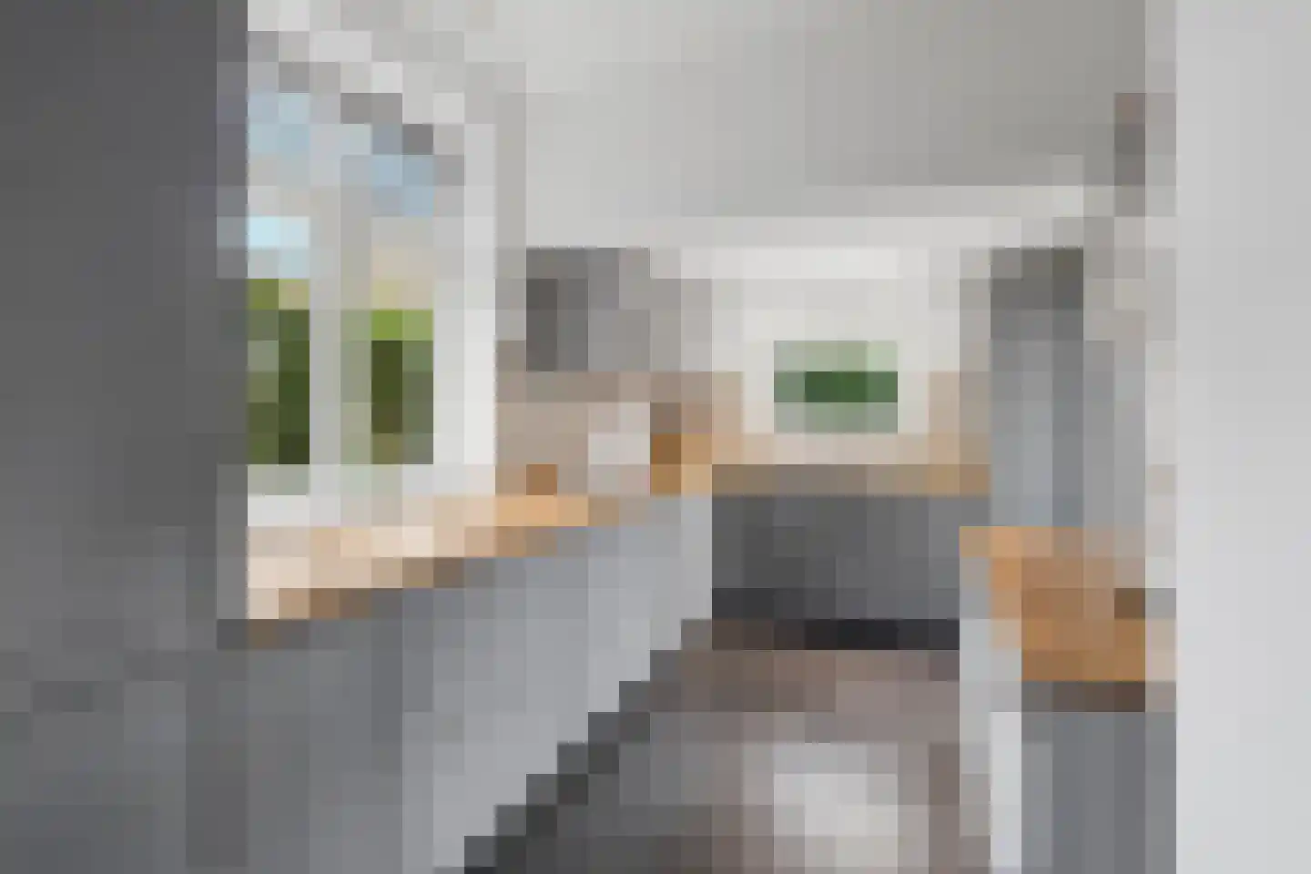 Muntmeesterlaan 64 Nijmegen thumbnail 20