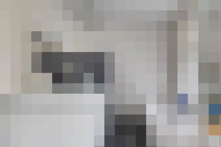 Muntmeesterlaan 66 Nijmegen thumbnail 23