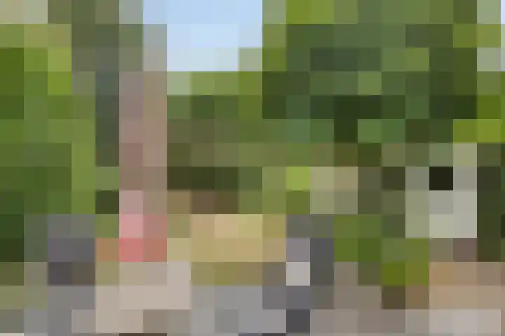 Muntmeesterlaan 66 Nijmegen thumbnail 29