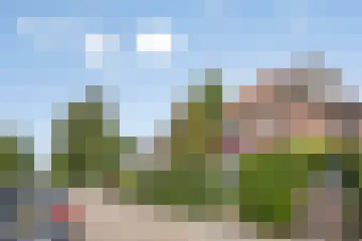 Muntmeesterlaan 66 Nijmegen thumbnail 31