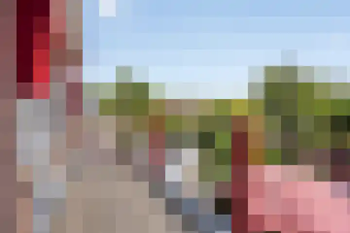 Muntmeesterlaan 66 Nijmegen thumbnail 5