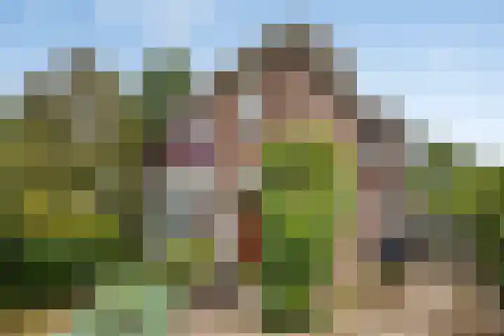 Muntmeesterlaan 66 Nijmegen thumbnail 6
